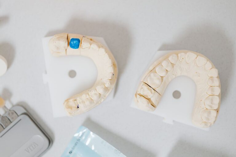 Blog 4 Modelli dentali e corona dentale con scala colori