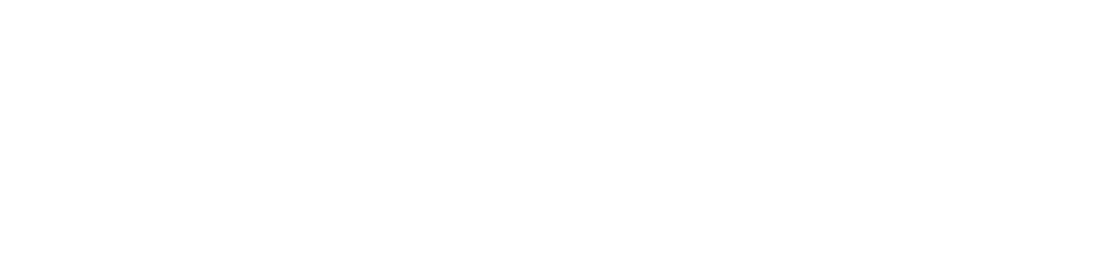 Facchinetti Dental logo bianco