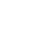 icon conservativa