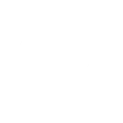 icon protesi